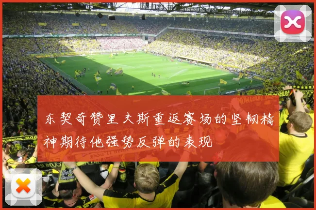 东契奇赞里夫斯重返赛场的坚韧精神期待他强势反弹的表现
